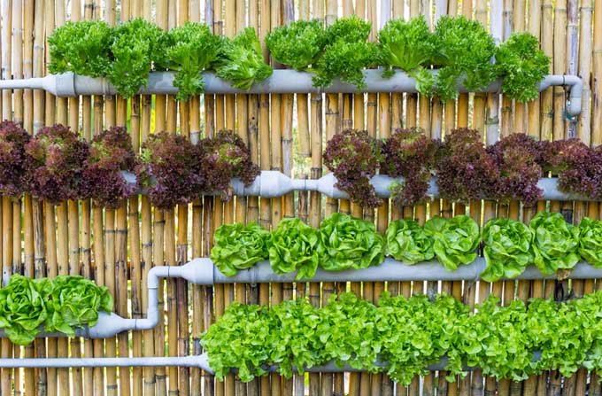 Gigziee_Vertical-Garden-2