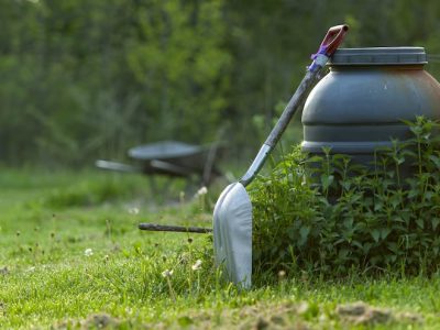 Gigziee_How to Get Rid of Weeds in Your Lawn