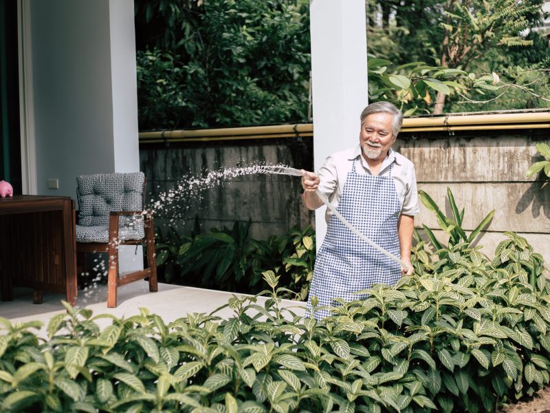 Gigziee_5 Tips for Designing a Natural Garden