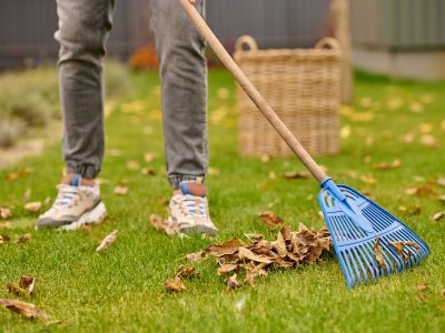 Gigziee_Fall Lawn Care Tips for Beginners